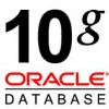 oracle 10G 標準版 25用戶 廠家正版授權
