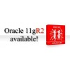 oracle 11G 標準版 25用戶 廠家正版授權