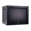 TCL MC21