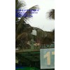 自然風(fēng)景區(qū)無線監(jiān)控，遠(yuǎn)程無線視頻傳輸設(shè)備