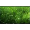 山東DIVI460液晶監視器