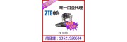 中興V100