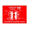 ORACLE Oracle 11g 企業版