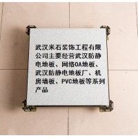 武漢方信防靜電地板、網絡OA地板、武漢防靜電地板廠、機房墻板
